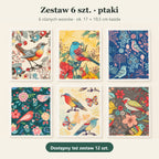Zestaw 6 szt. – kolorowe ptaki